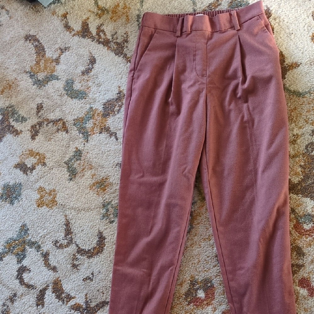 LOFT Terracotta Pleated Pants